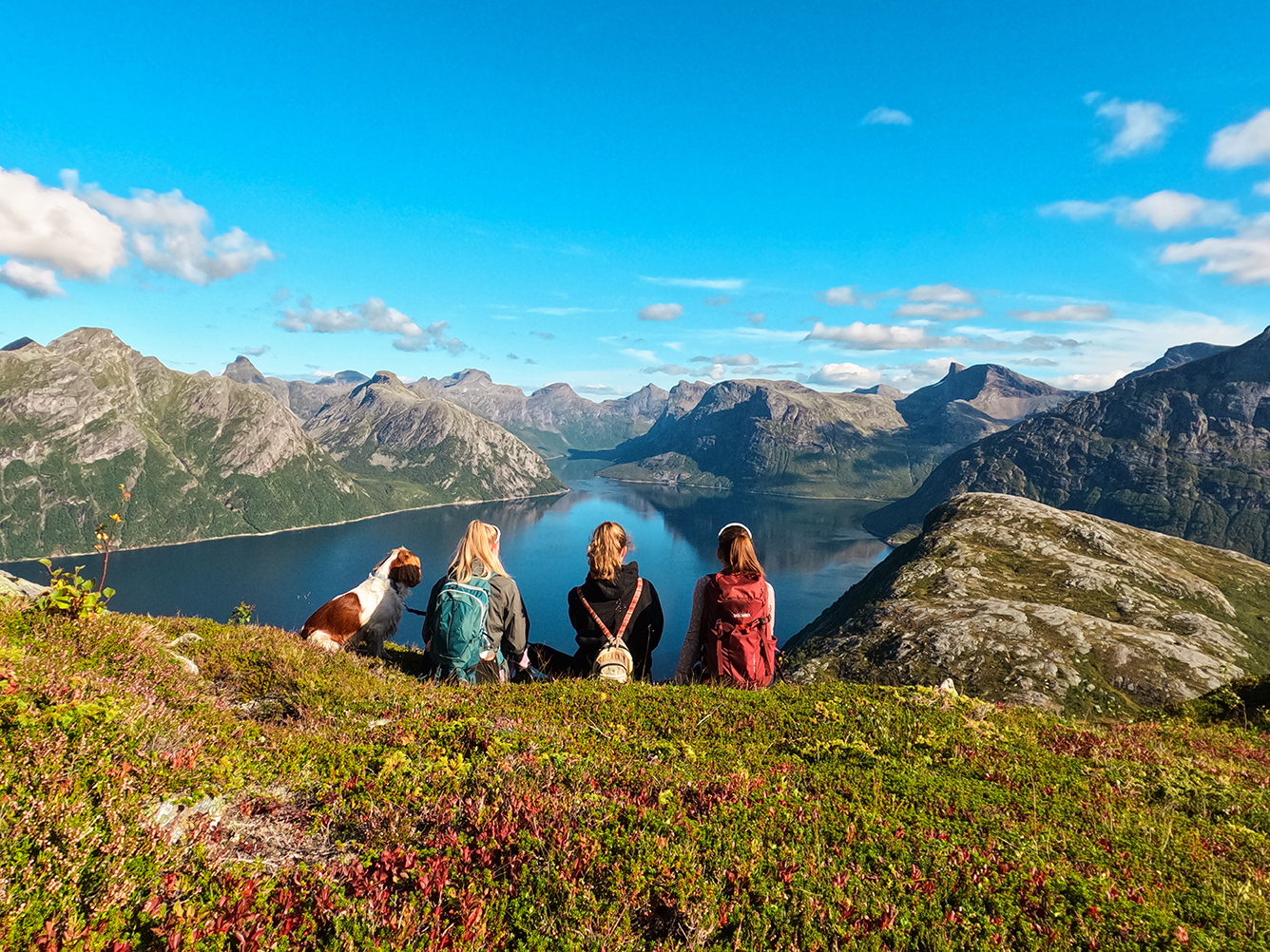 Turfølge i nordnorskt landskap med utsikt over fjell og vann